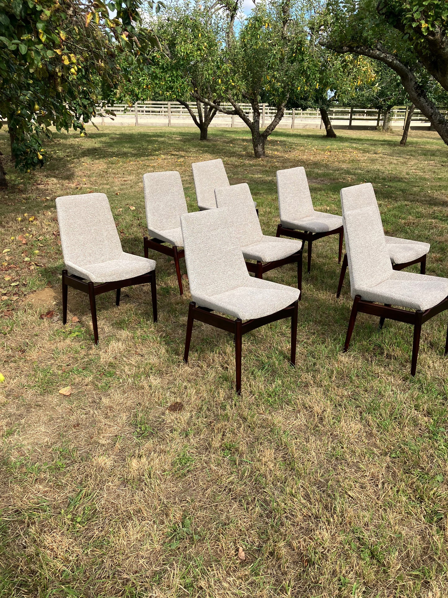 Mid Century Rosewood Hamilton Dining Chairs By Robert Heritage For Archie Shine, Set Of 8 - Pending A10 certificate