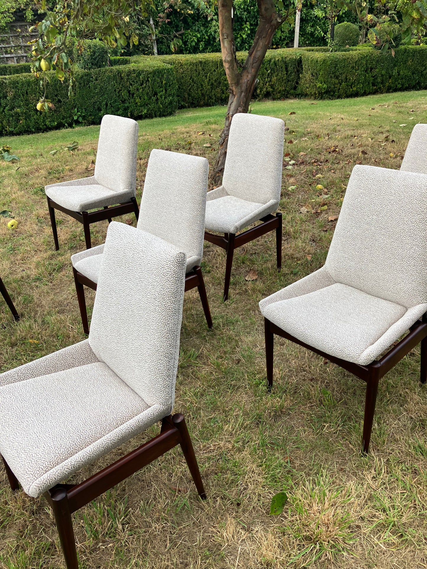 Mid Century Rosewood Hamilton Dining Chairs By Robert Heritage For Archie Shine, Set Of 8 - Pending A10 certificate