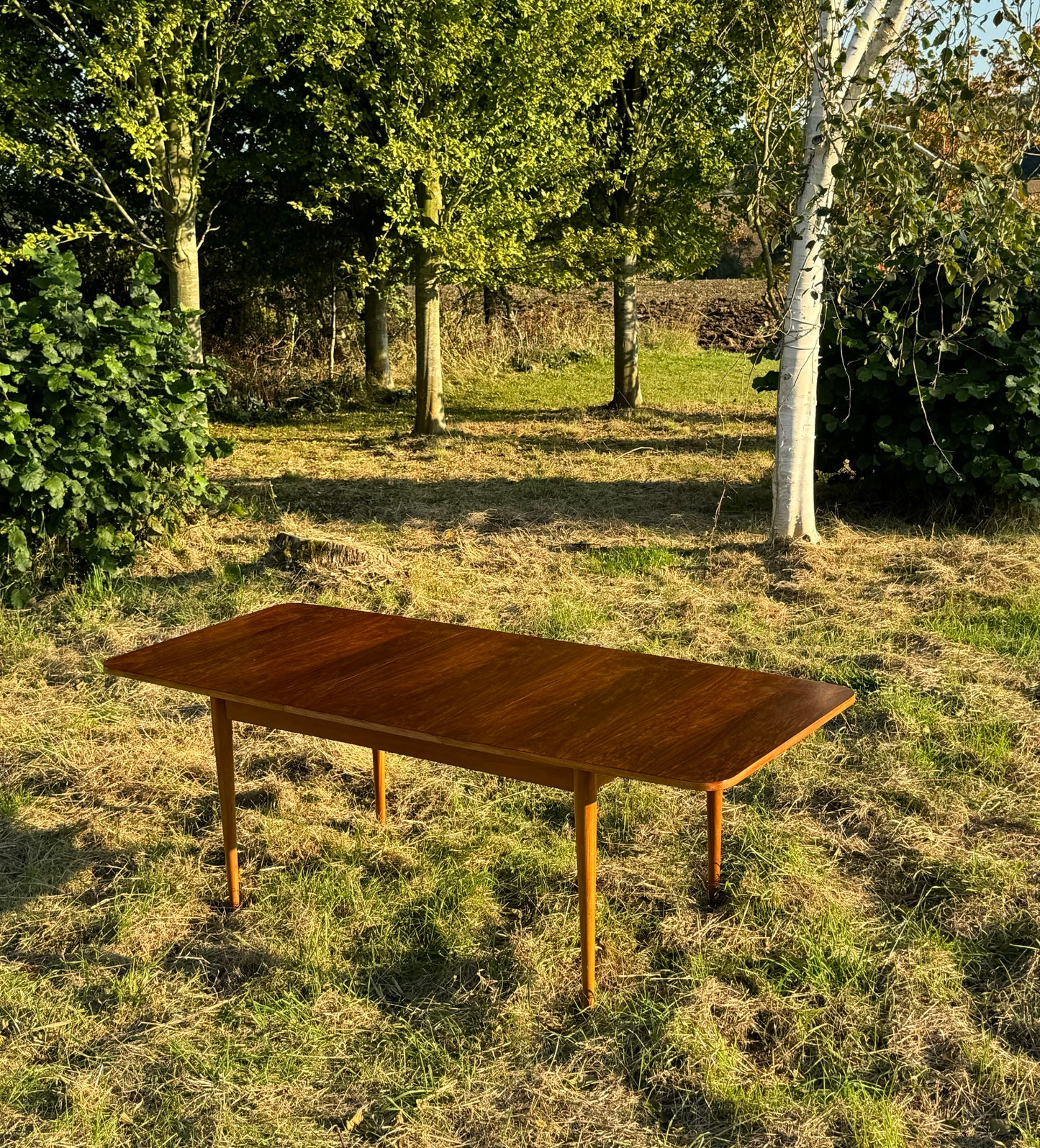 Vintage Mid Century Modern Rosewood Dining Table by Robert Hamilton for Archie Shine 1960s - Pending A10 certificate
