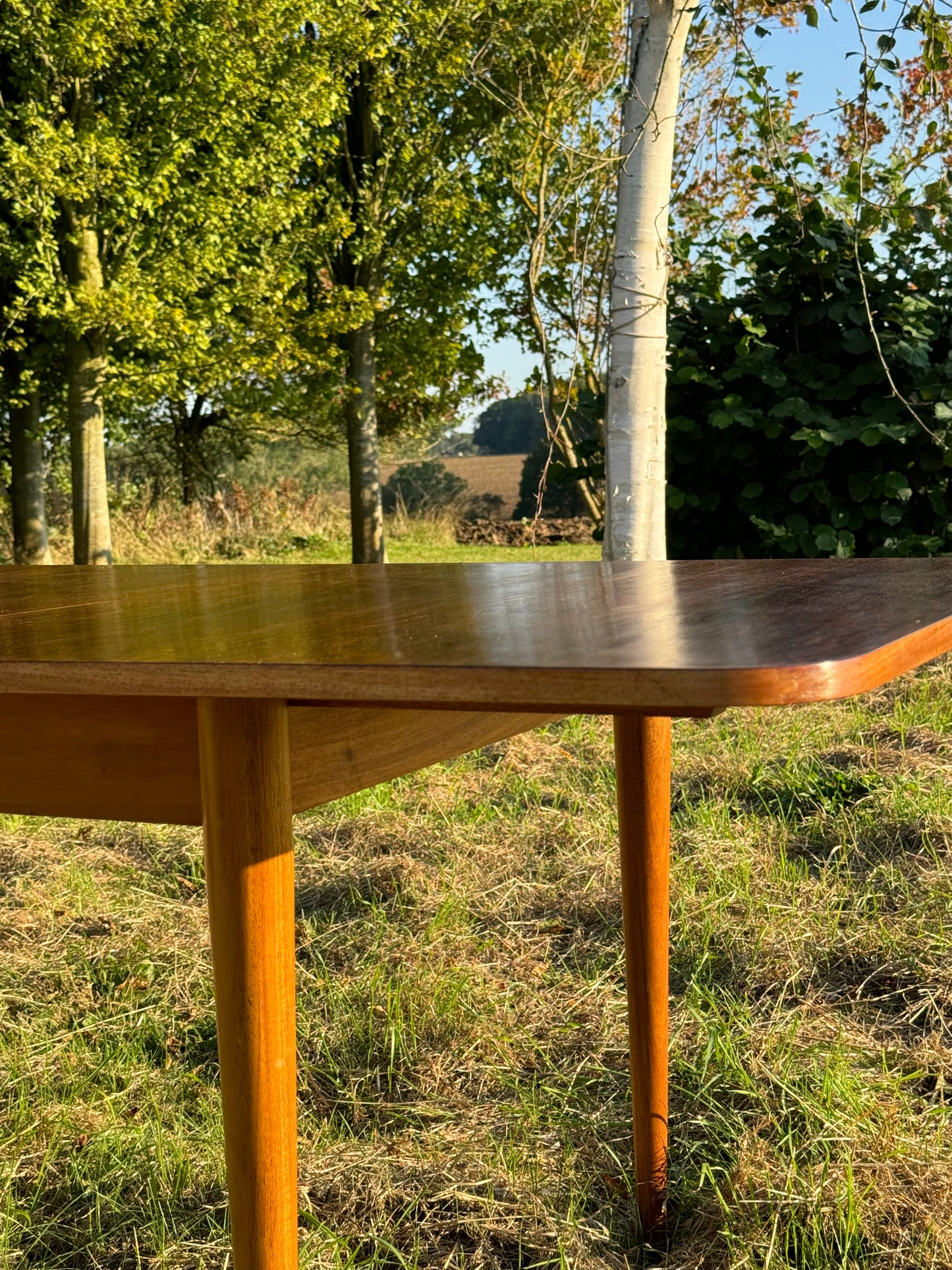 Vintage Mid Century Modern Rosewood Dining Table by Robert Hamilton for Archie Shine 1960s - Pending A10 certificate