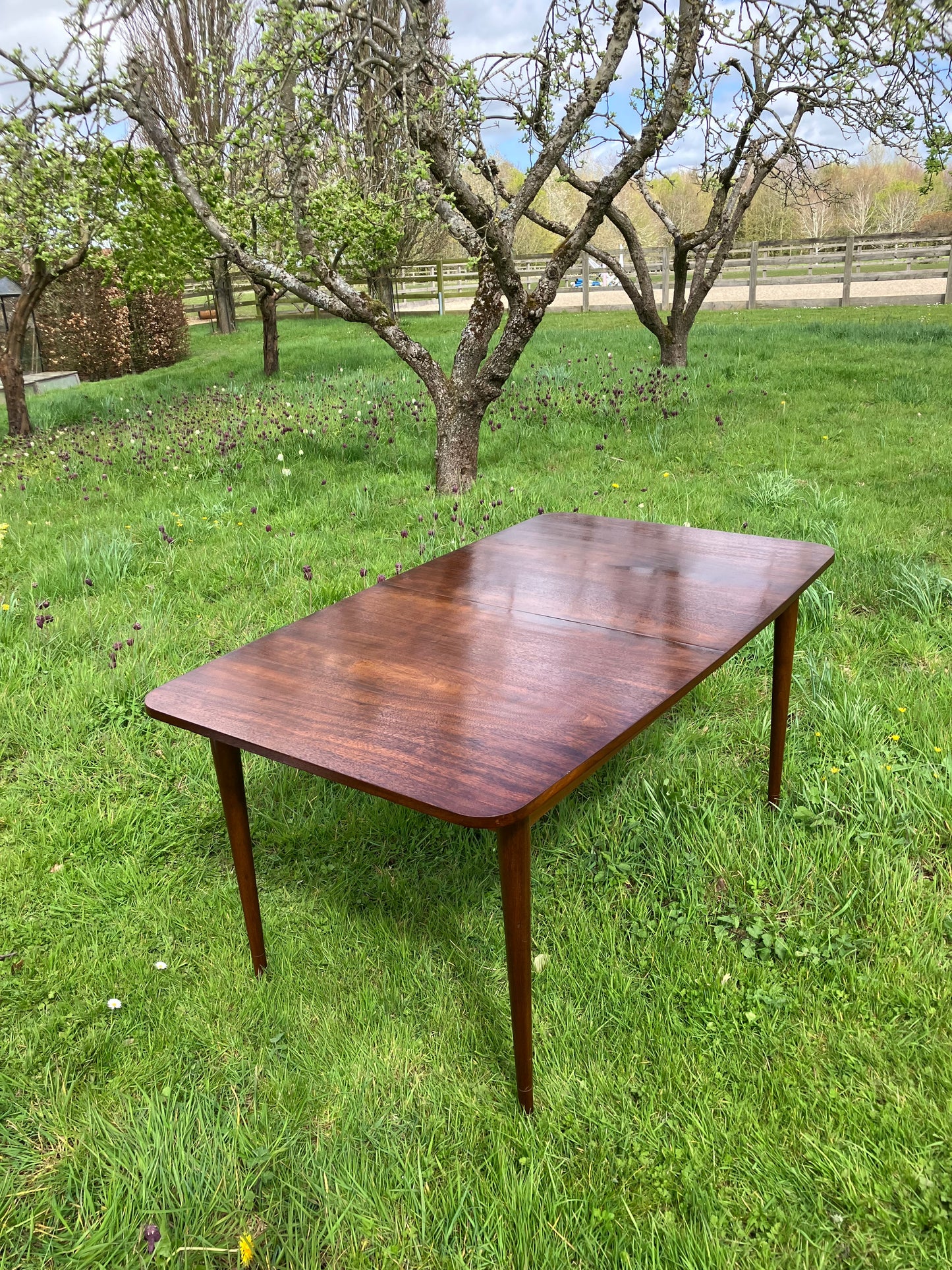 Vintage Mid Century Modern Rosewood dining table by Robert Hamilton for Archie Shine 1960s - Pending A10 certificate