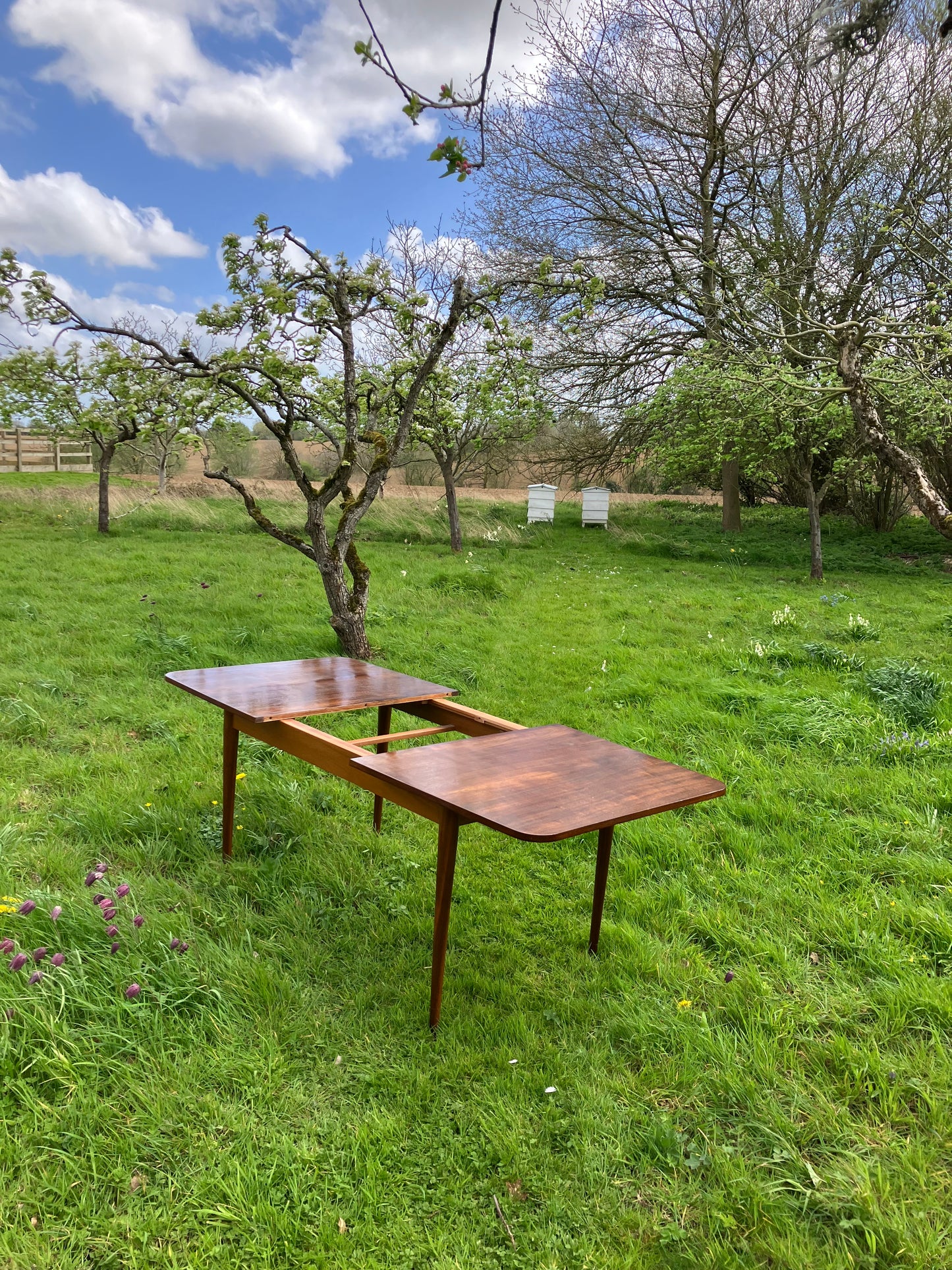 Vintage Mid Century Modern Rosewood dining table by Robert Hamilton for Archie Shine 1960s - Pending A10 certificate