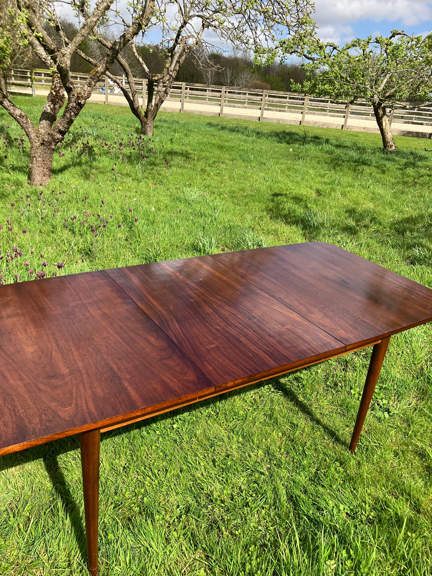 Vintage Mid Century Modern Rosewood dining table by Robert Hamilton for Archie Shine 1960s - Pending A10 certificate
