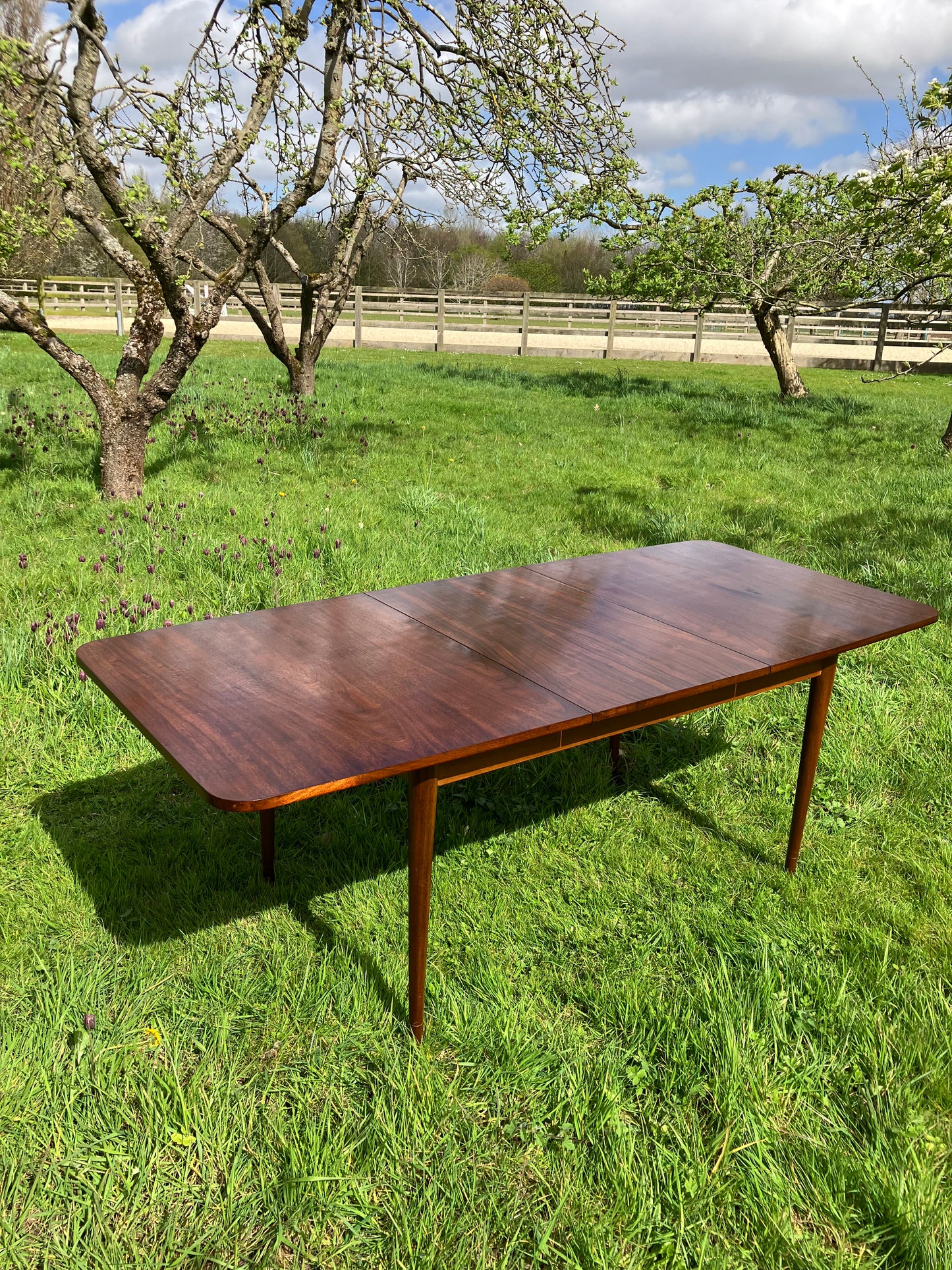 Vintage Mid Century Modern Rosewood dining table by Robert Hamilton for Archie Shine 1960s - Pending A10 certificate