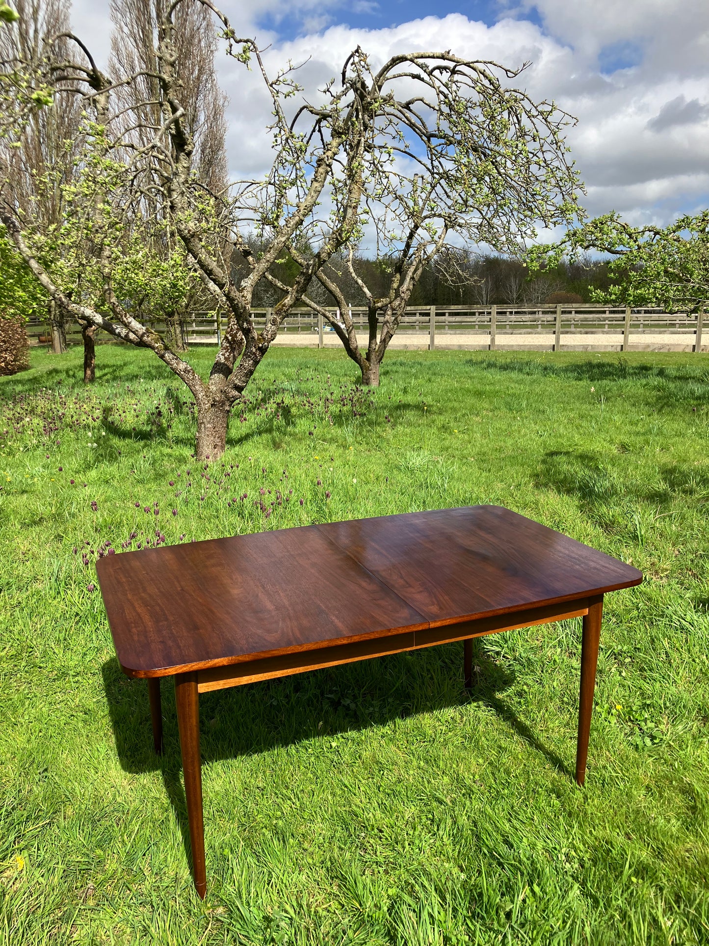 Vintage Mid Century Modern Rosewood dining table by Robert Hamilton for Archie Shine 1960s - Pending A10 certificate