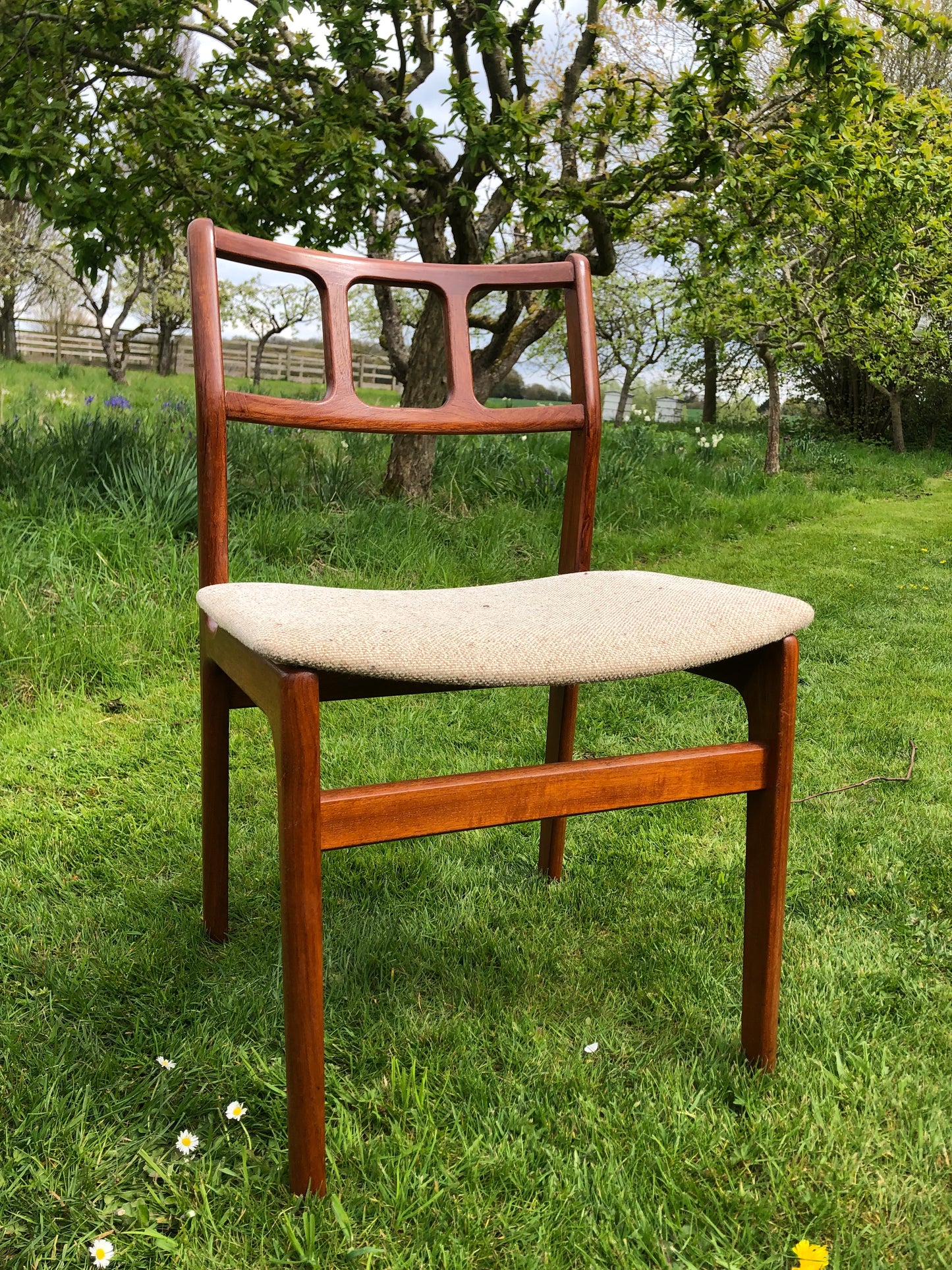 **For Sailor** Mid Century Modern solid teak chairs by D Scan