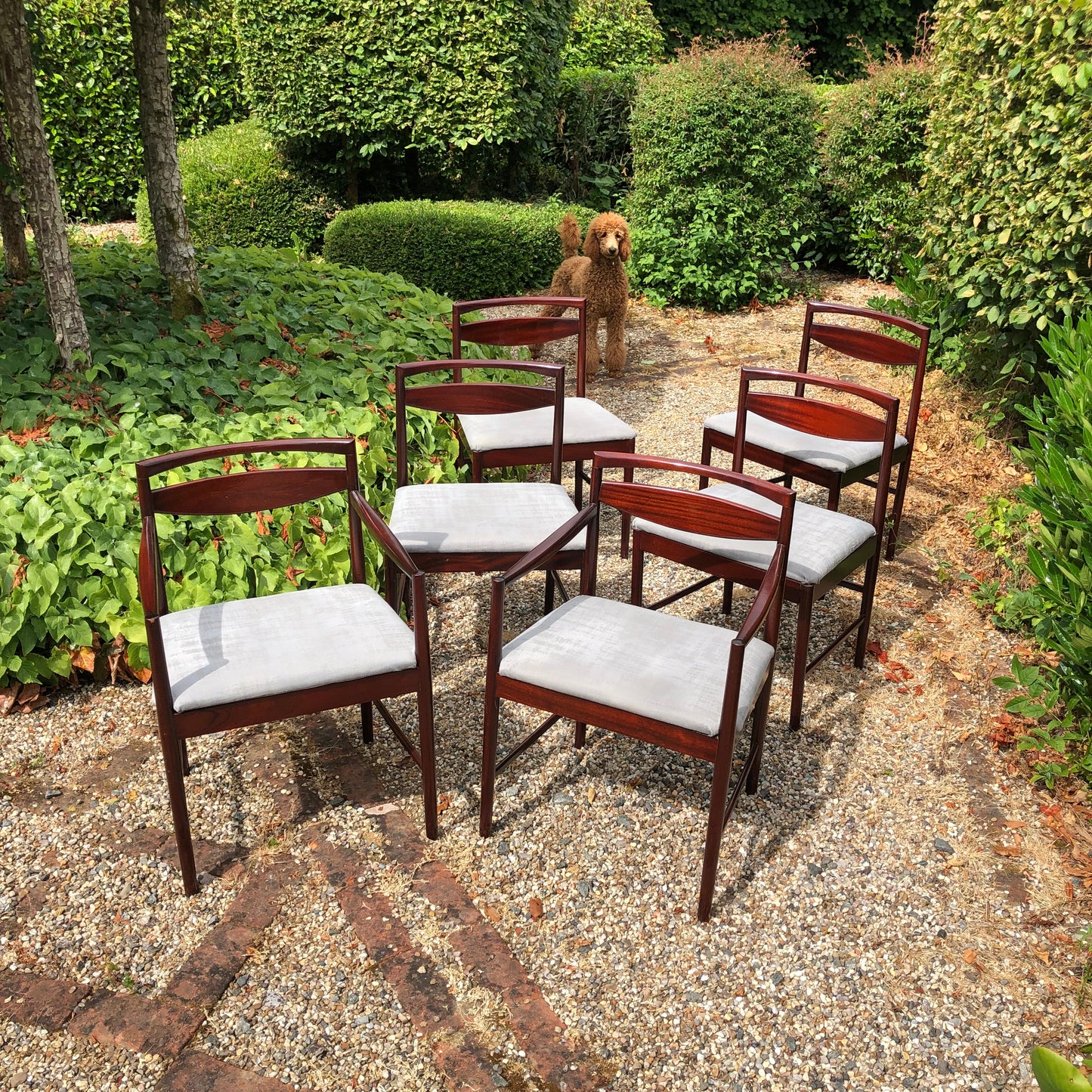 Set of 6 Mcintosh Rosewood Dining Chairs by Tom Robertson Mid Century Modern 1960/70s - Pending A10 certificate