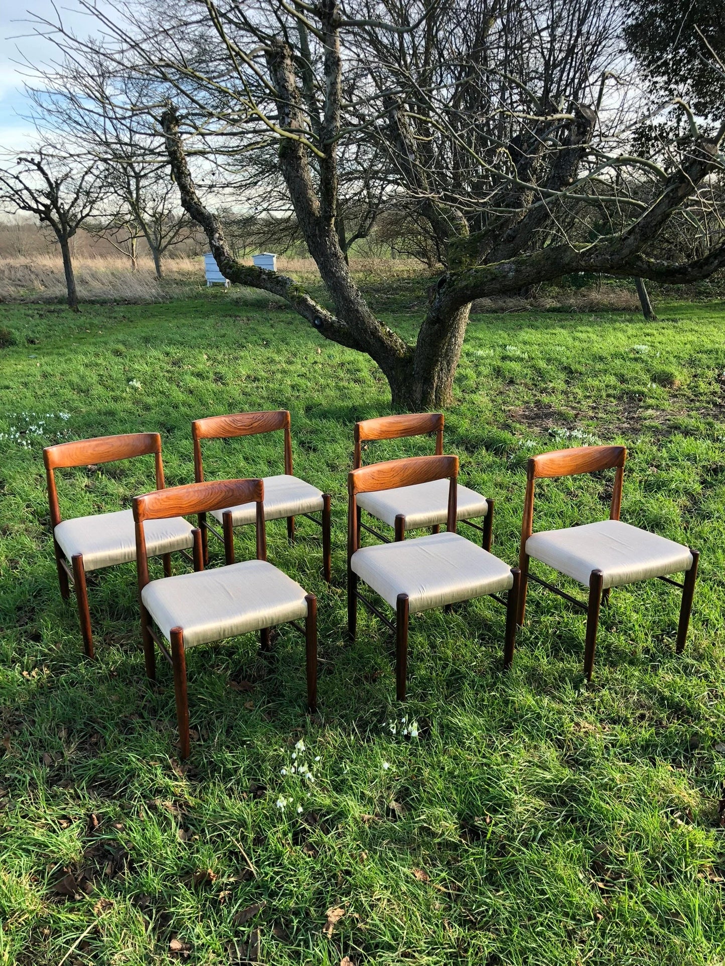 Mid Century Modern Danish Rosewood Dining Chairs by H W Klein for Bramin - Pending A10 certificate