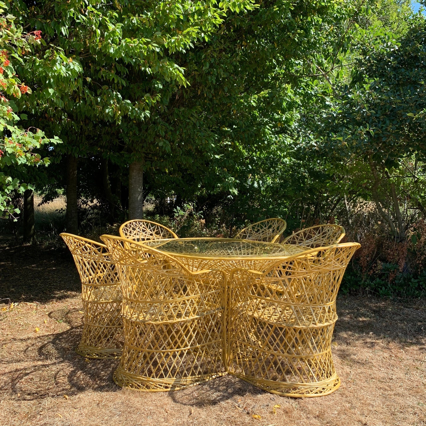 ***Reserved for Lucinda George price includes delivery ****Mid Century Modern Hollywood Regency Bamboo Effect Spun Fibreglass Garden Dining Set
