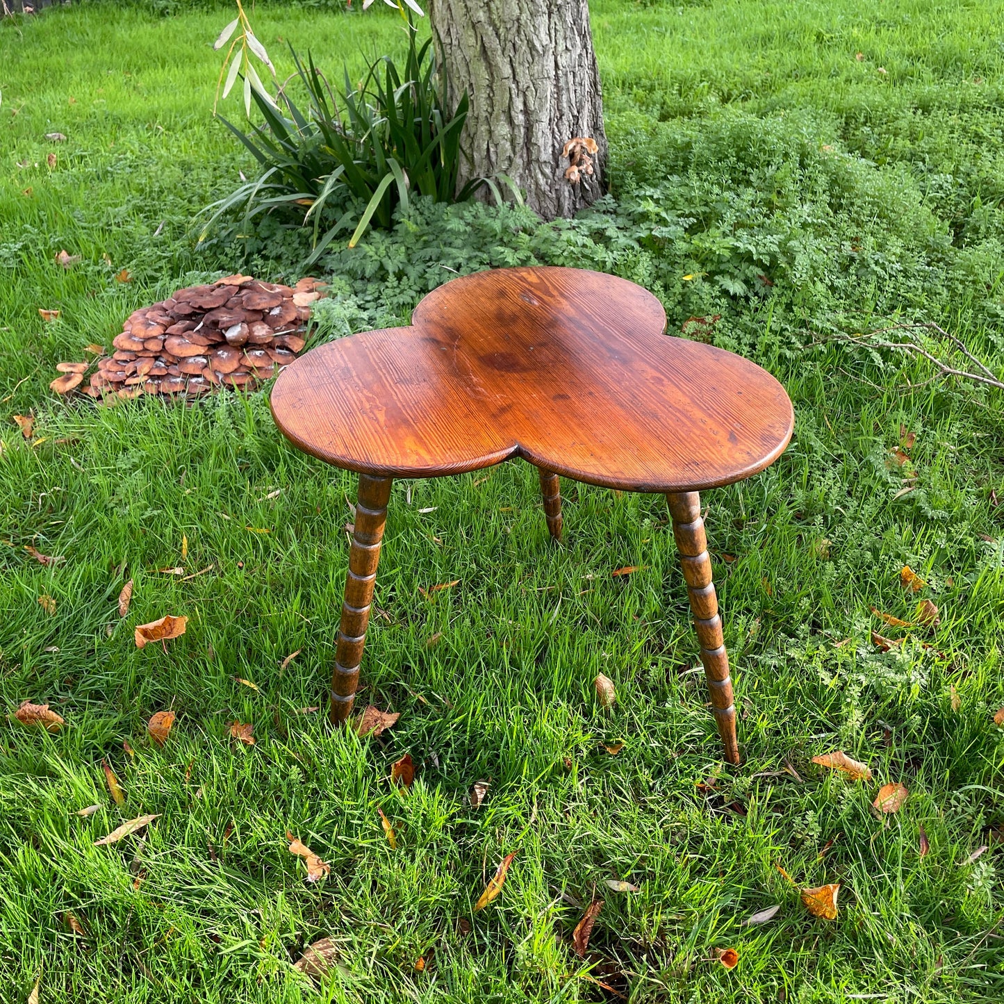 Irish Clover Gypsy Table In Fruitwood Bohemian/Eclectic
