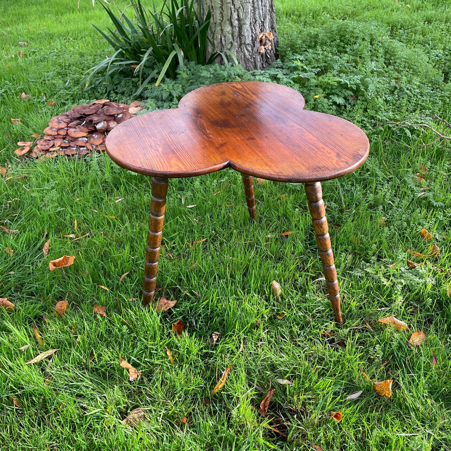 Irish Clover Gypsy Table In Fruitwood Bohemian/Eclectic