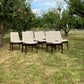 Mid Century Rosewood Hamilton Dining Chairs By Robert Heritage For Archie Shine, Set Of 8 - Pending A10 certificate