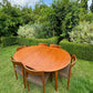 Vintage Mid Century Modern Danish Teak Dining Set with 6 chairs by Svend Åage Madsen