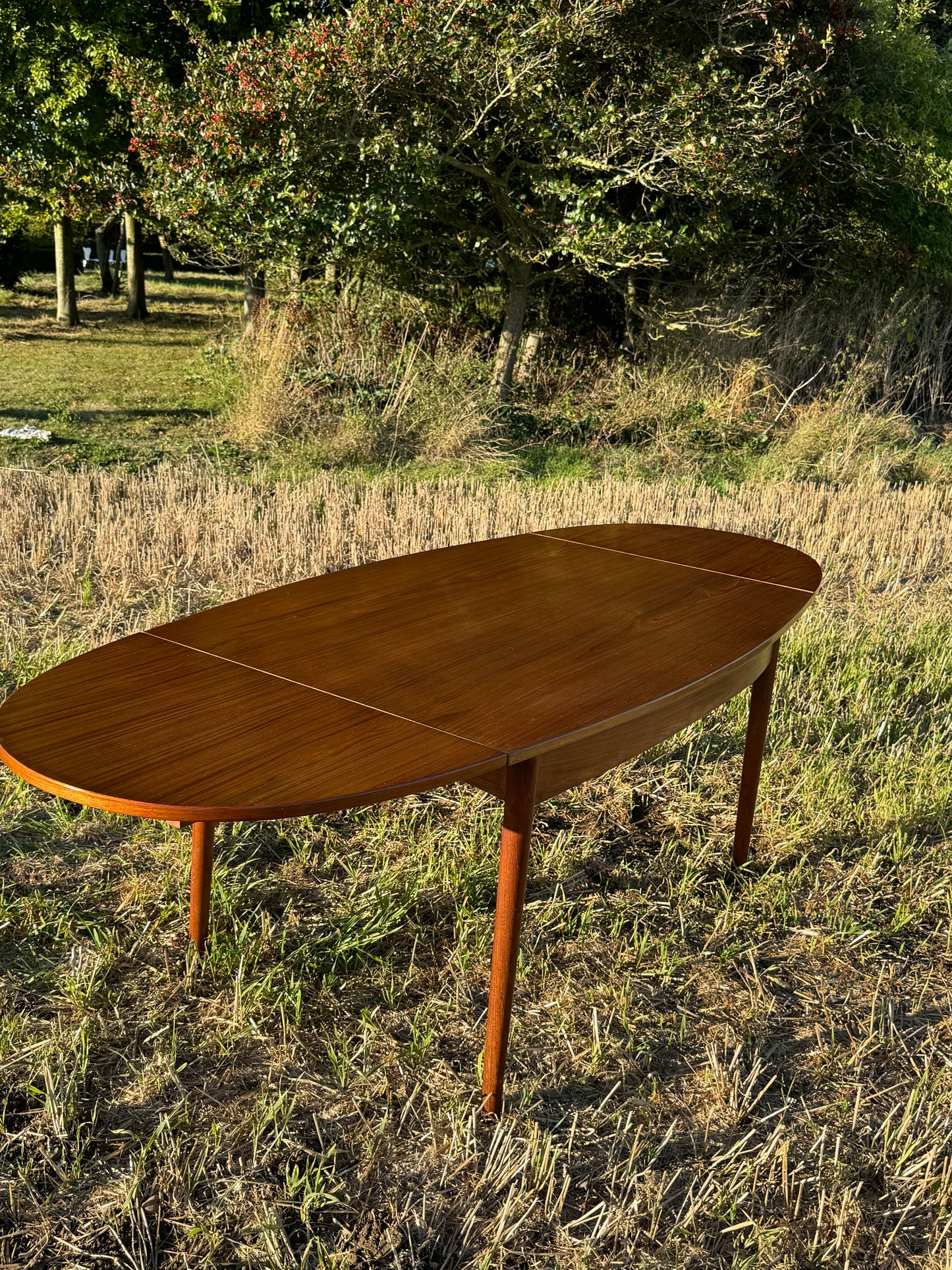 Vintage Mid Century Modern Scandinavian Extending Dining table 1960s