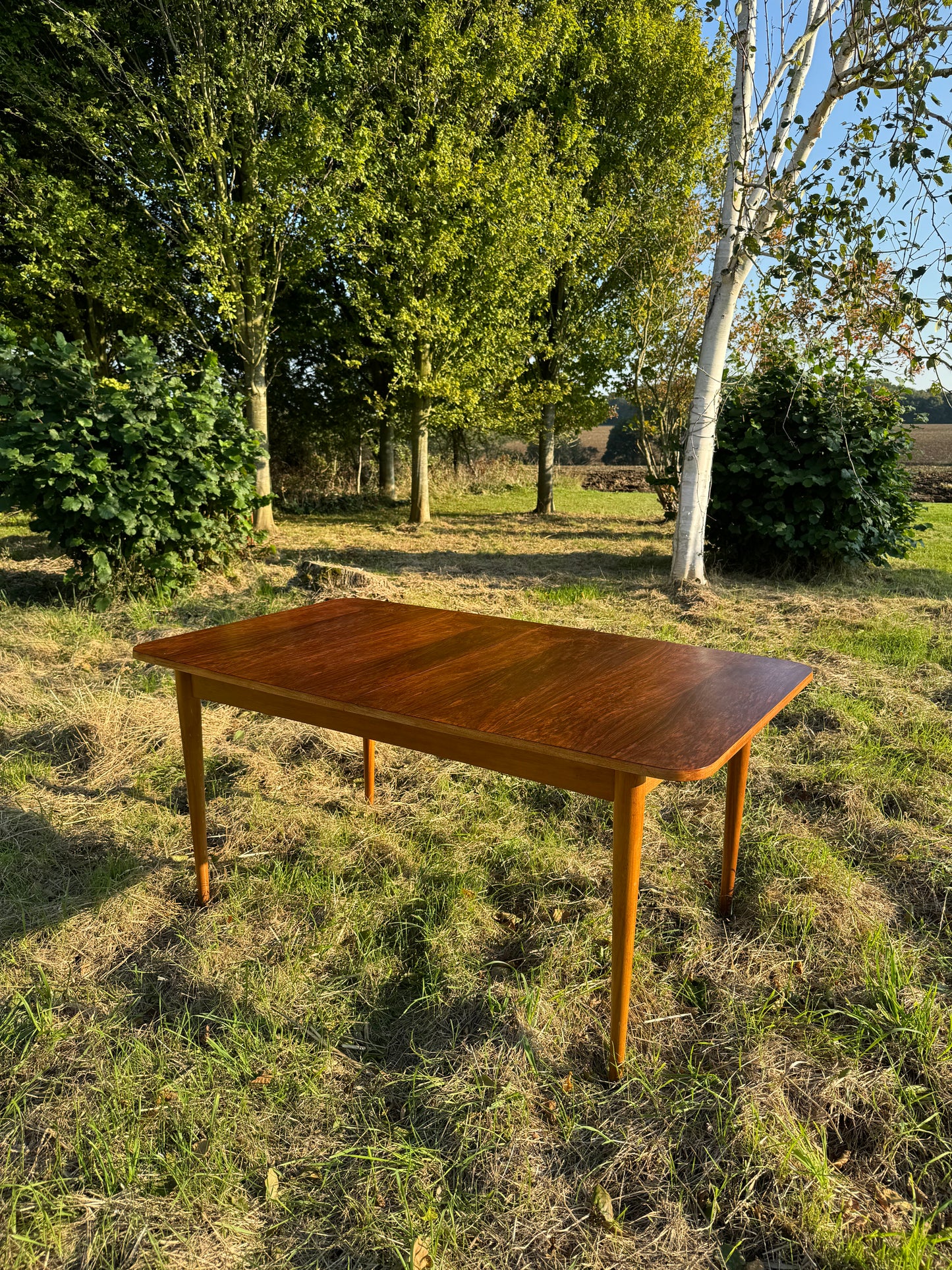 Vintage Mid Century Modern Rosewood Dining Table by Robert Hamilton for Archie Shine 1960s - Pending A10 certificate