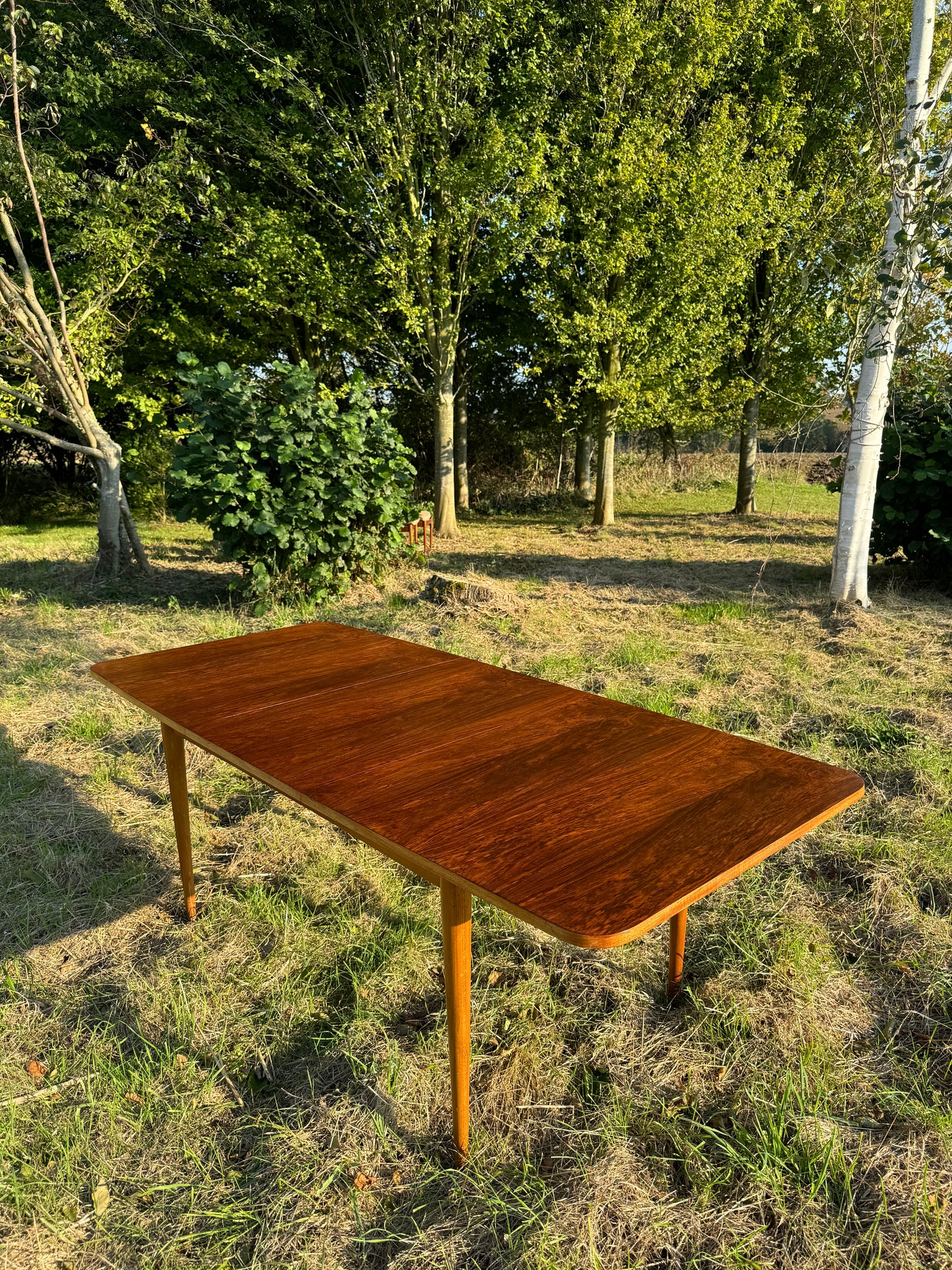 Vintage Mid Century Modern Rosewood Dining Table by Robert Hamilton for Archie Shine 1960s - Pending A10 certificate