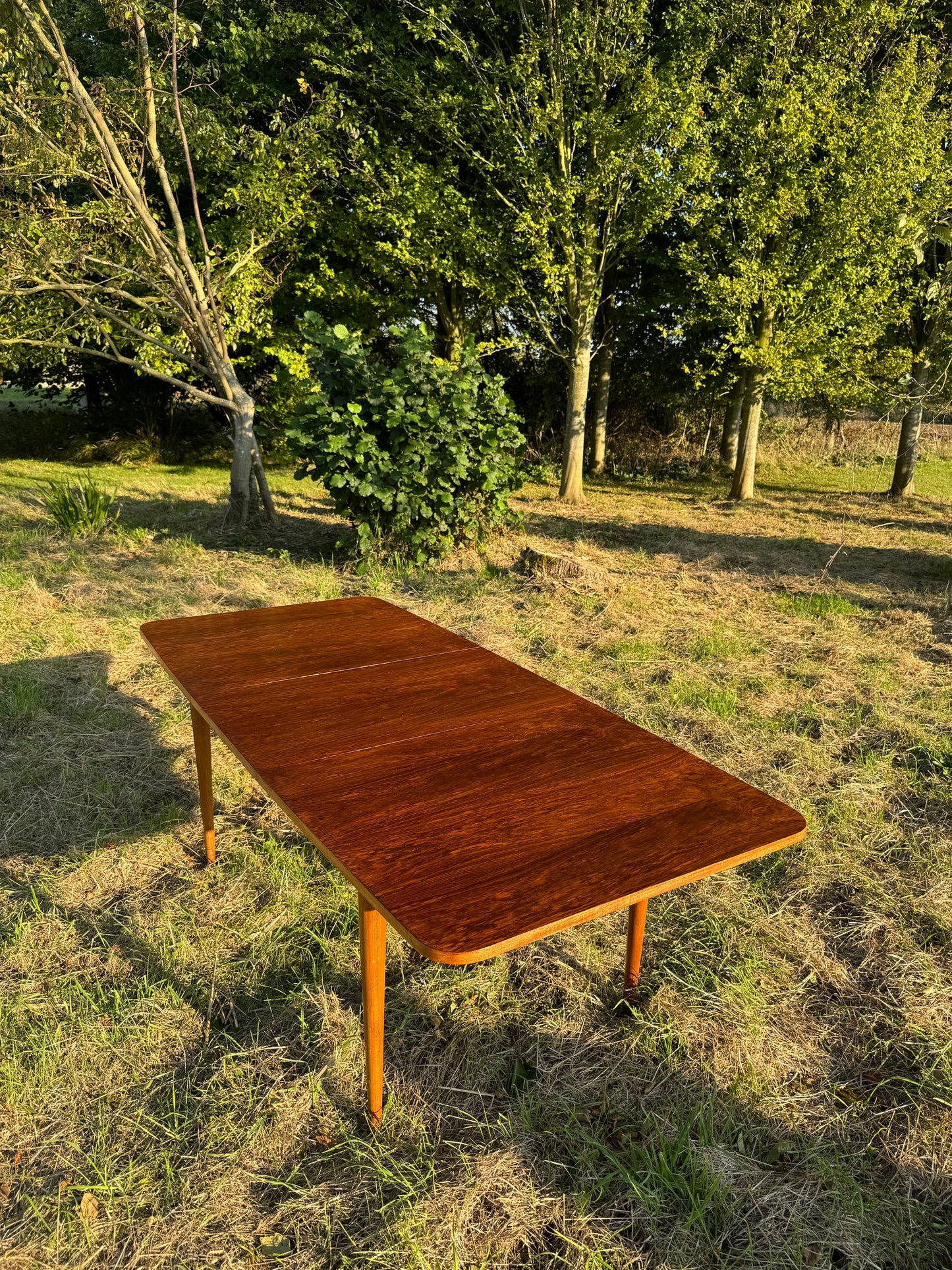 Vintage Mid Century Modern Rosewood Dining Table by Robert Hamilton for Archie Shine 1960s - Pending A10 certificate