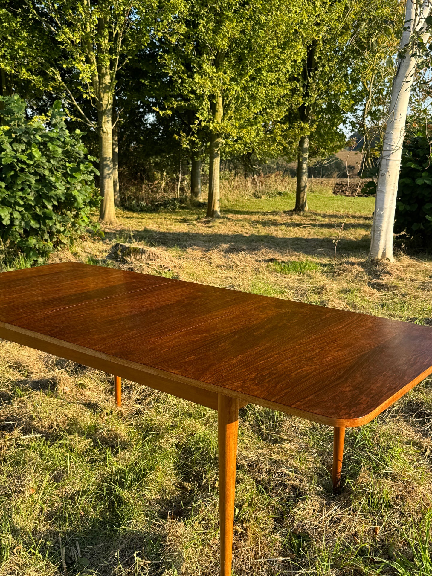 Vintage Mid Century Modern Rosewood Dining Table by Robert Hamilton for Archie Shine 1960s - Pending A10 certificate