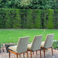 Set of Six Vintage Mid Century Modern Teak Chairs by Robert Heritage for Archie Shine 1950s