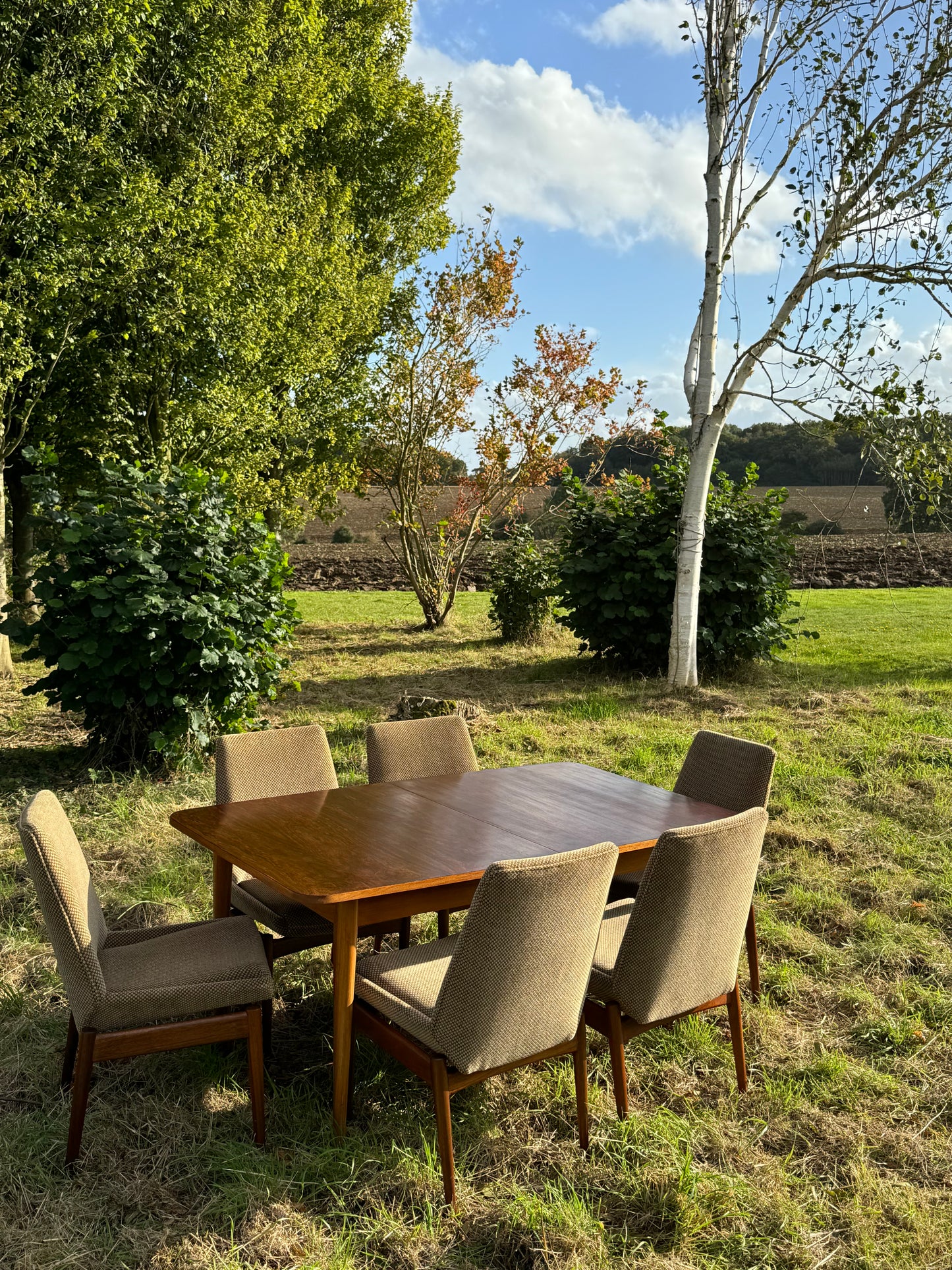 Vintage Mid Century Modern Dining Table and Chairs by Robert Heritage for Archie Shine 1950s/1960s