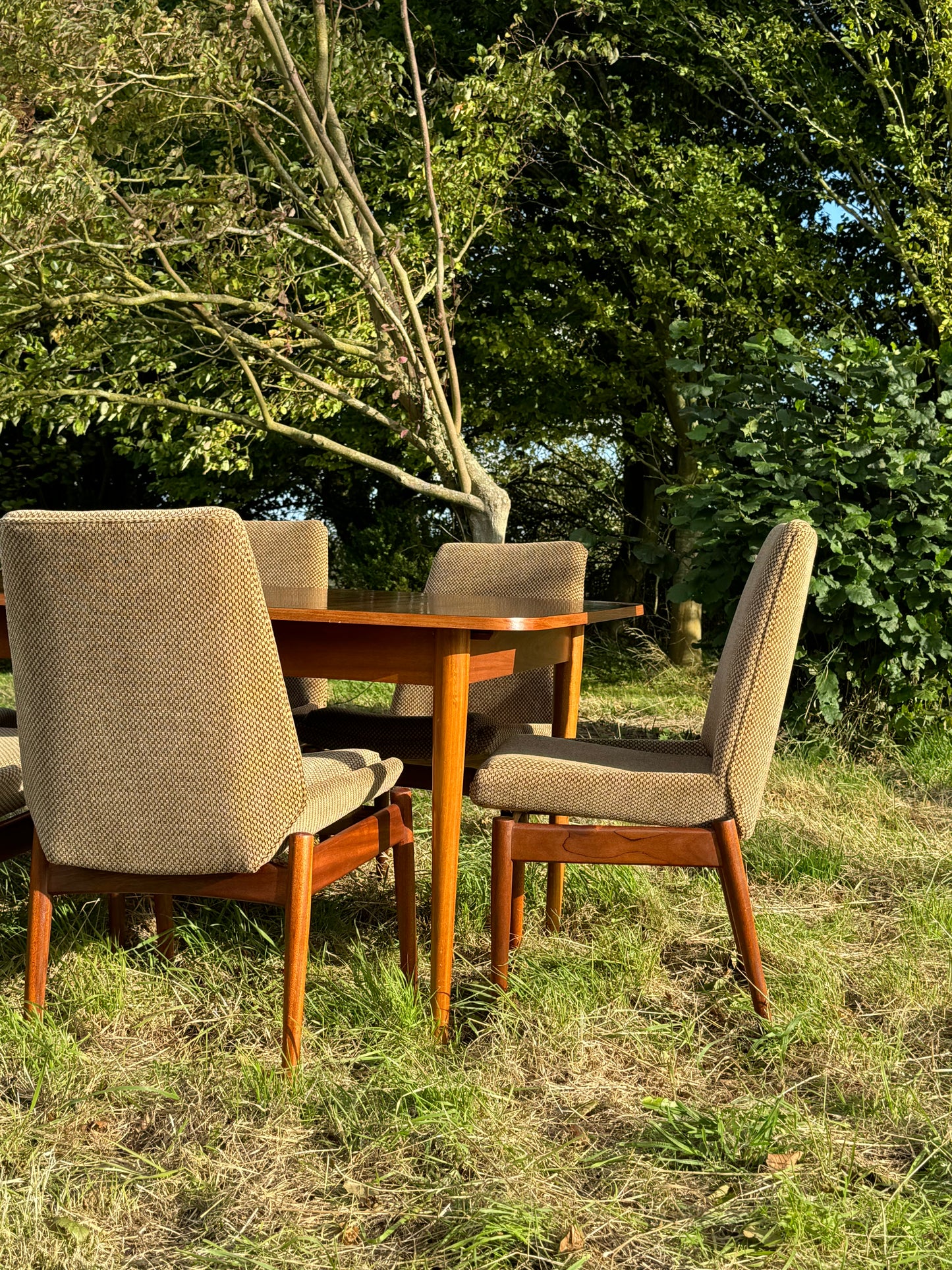 Vintage Mid Century Modern Dining Table and Chairs by Robert Heritage for Archie Shine 1950s/1960s