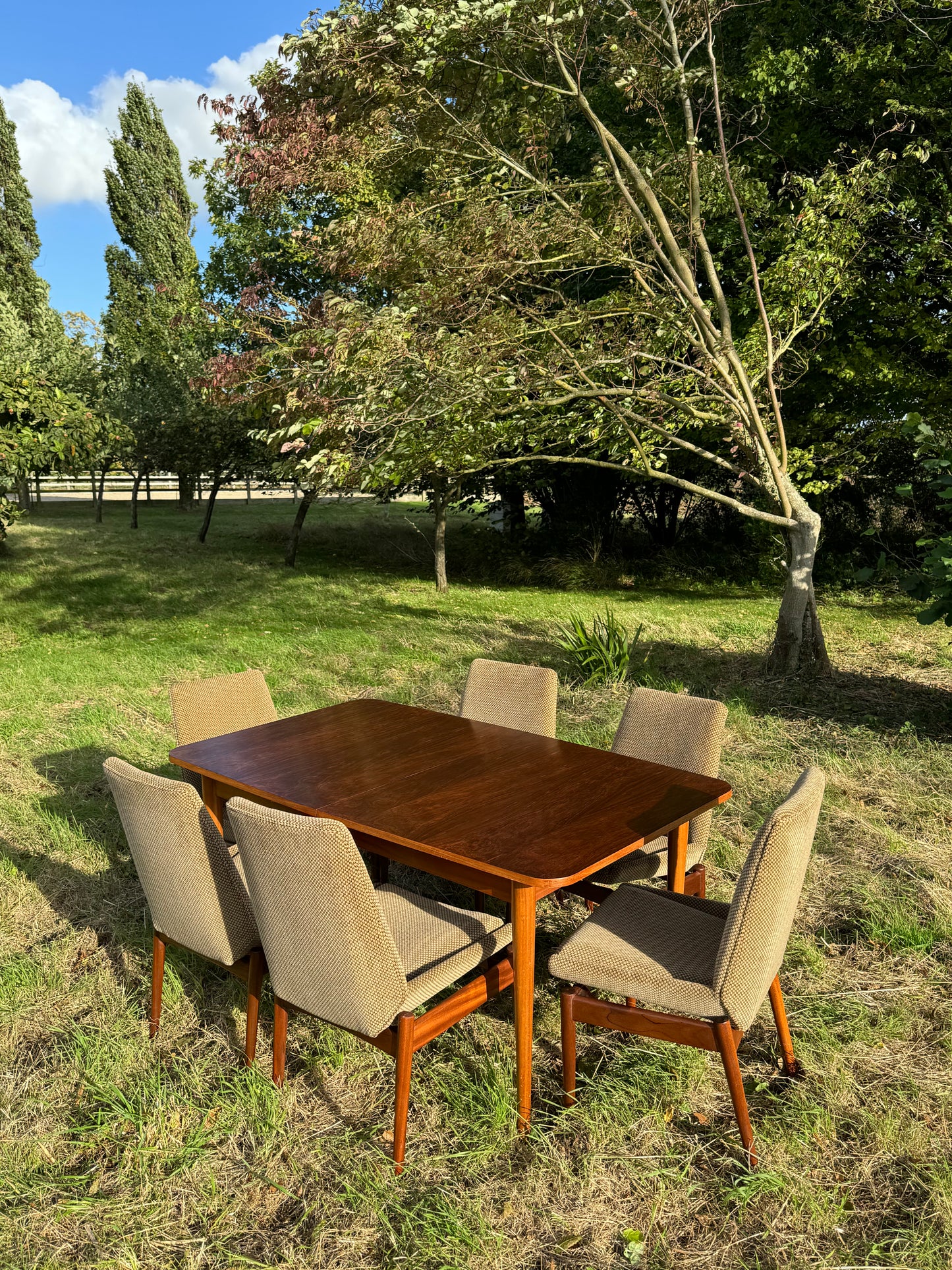 Vintage Mid Century Modern Dining Table and Chairs by Robert Heritage for Archie Shine 1950s/1960s