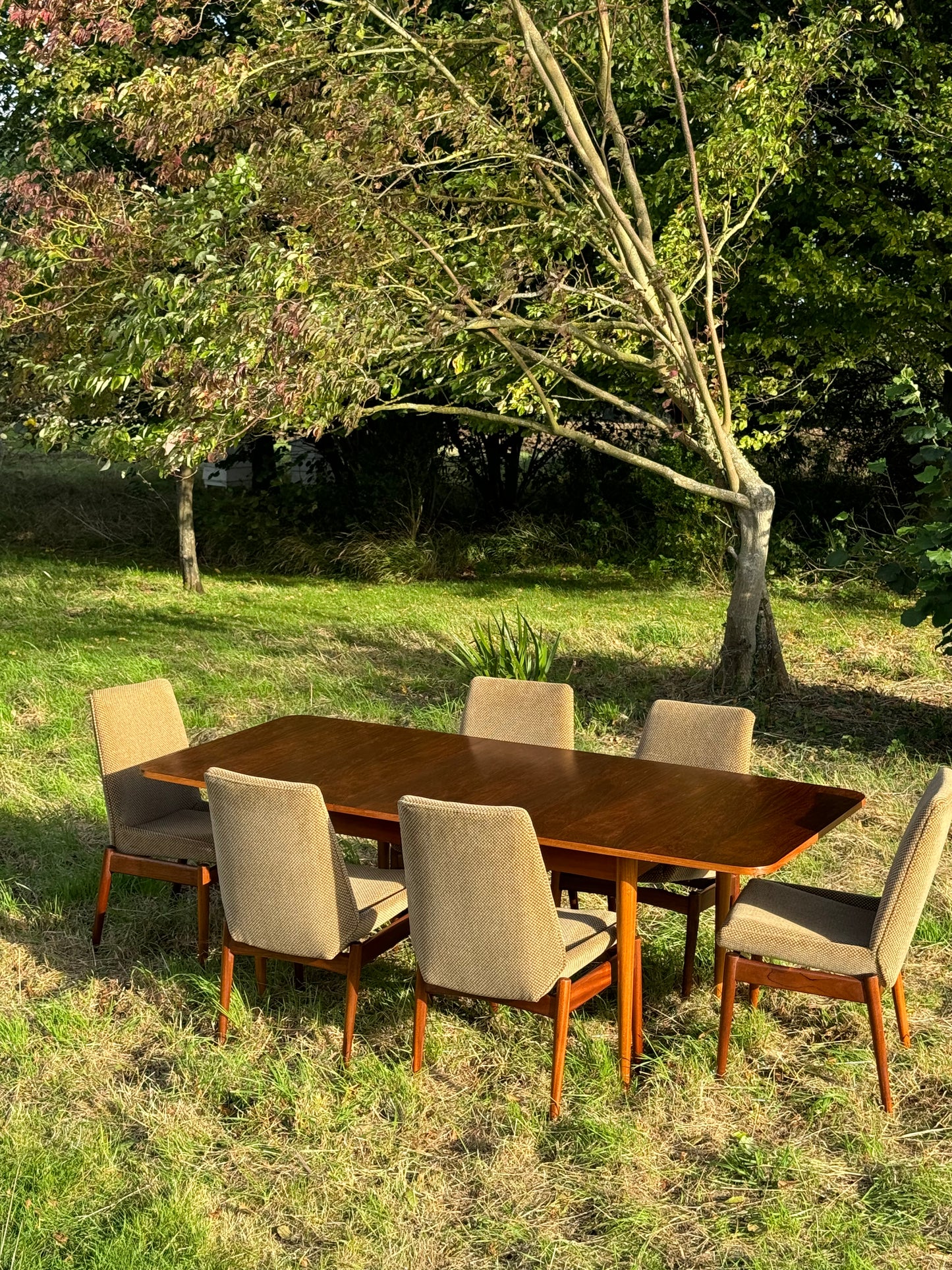 Vintage Mid Century Modern Dining Table and Chairs by Robert Heritage for Archie Shine 1950s/1960s