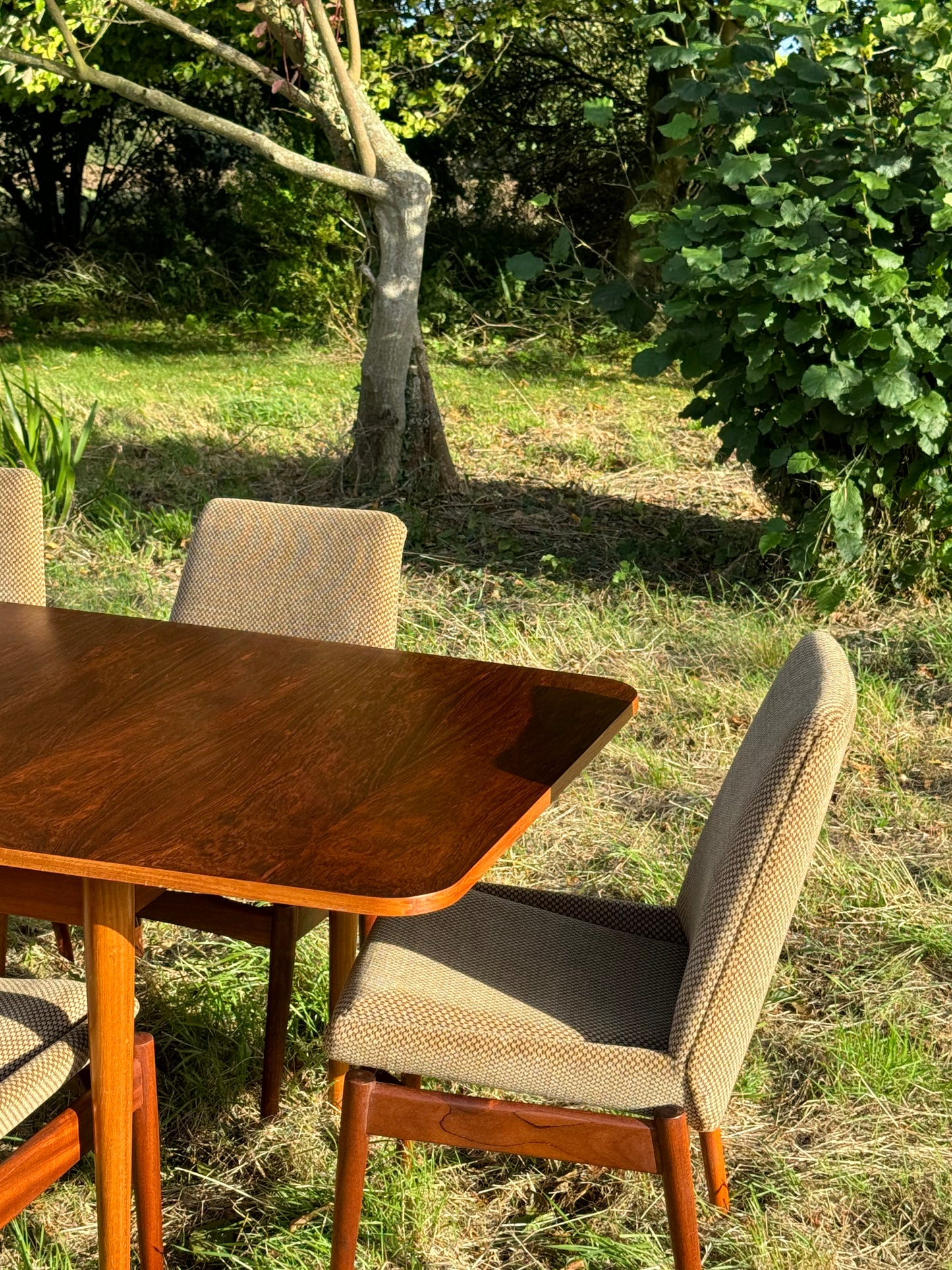 Set of Six Vintage Mid Century Modern Teak Chairs by Robert Heritage for Archie Shine 1950s