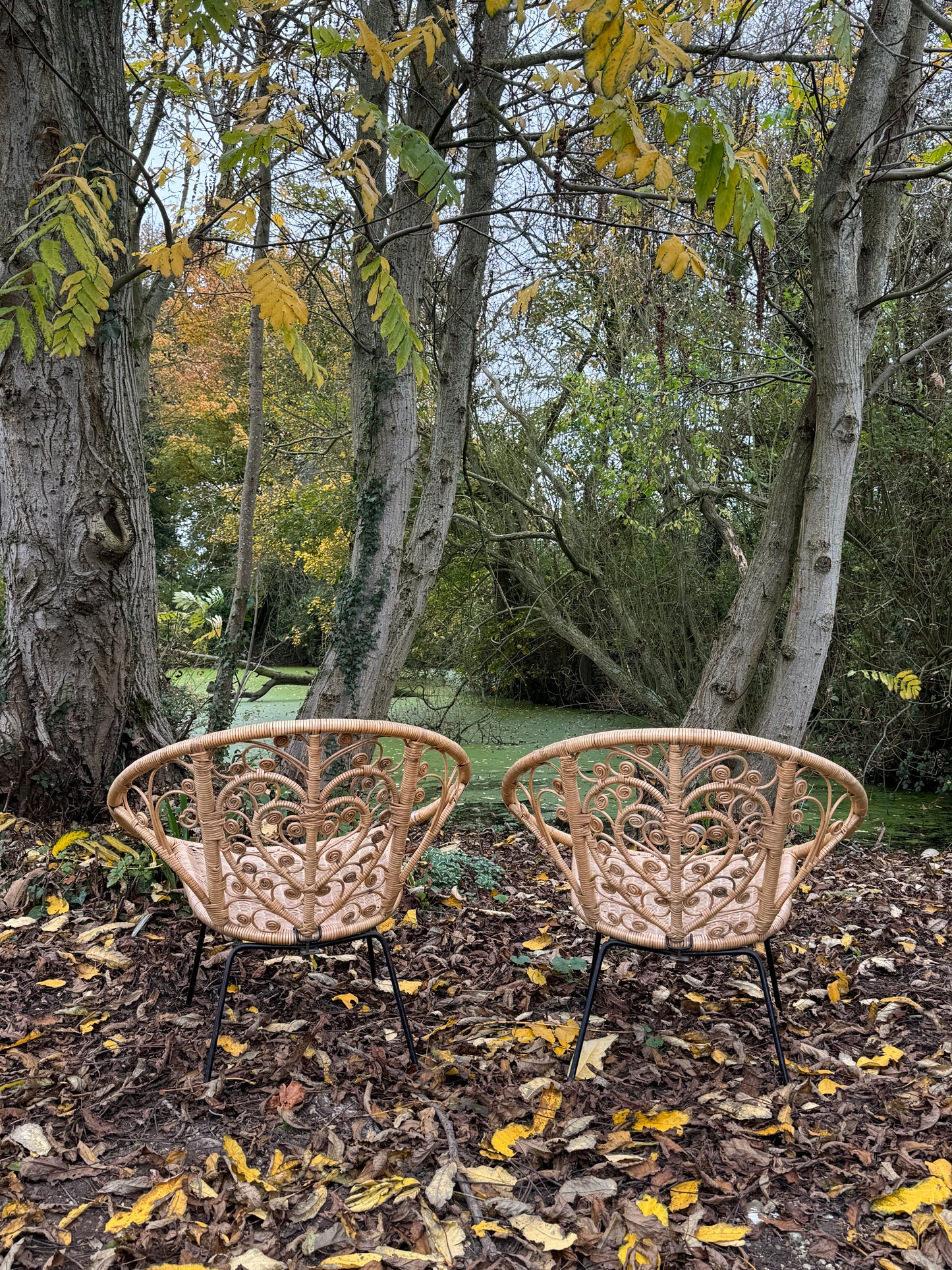 Set Of Two Mid Century Modern Hollywood Regency Wicker Indoor /Outdoor Chairs With Heart Detail