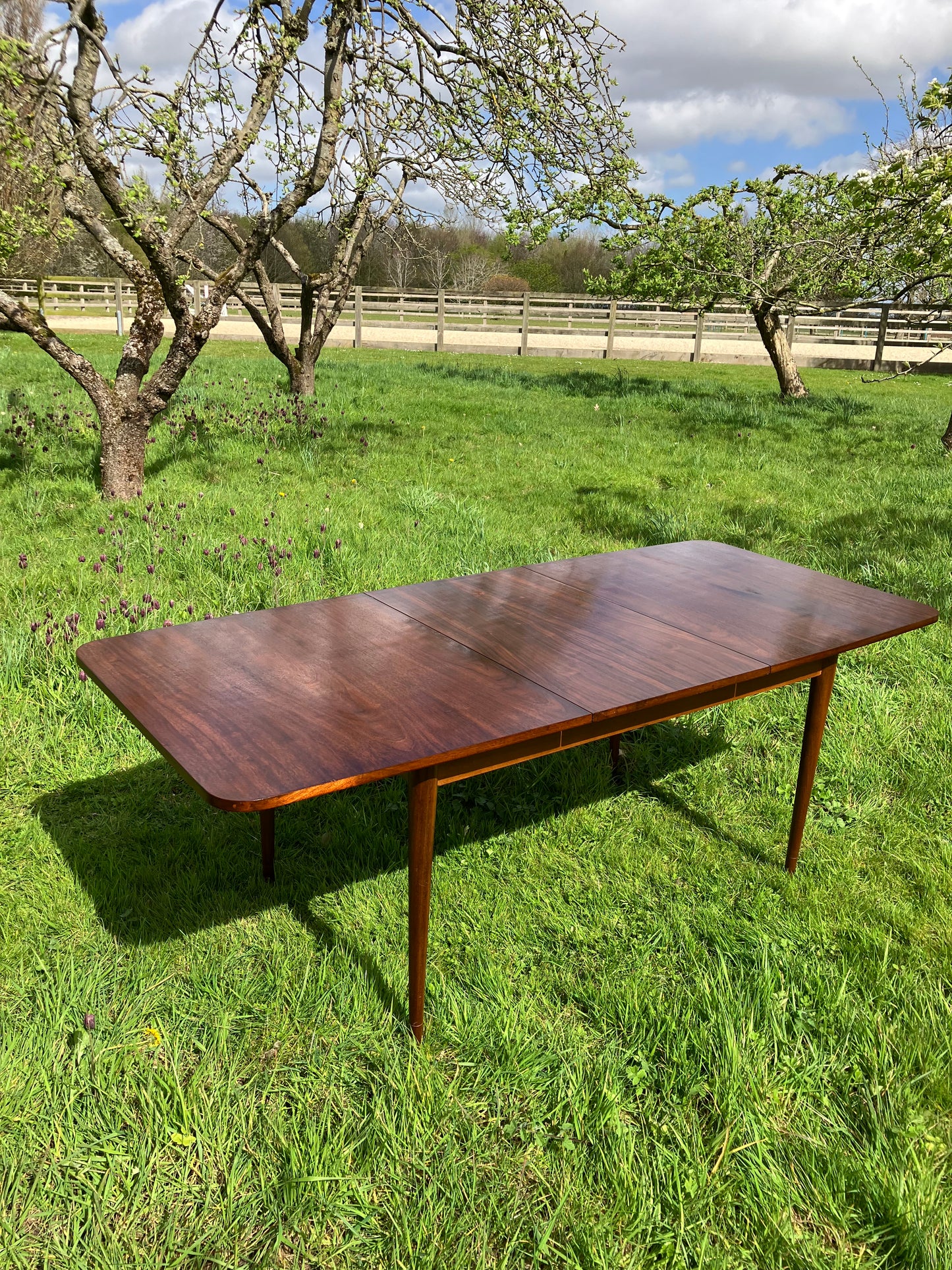 Vintage Mid Century Modern Rosewood dining table by Robert Hamilton for Archie Shine 1960s