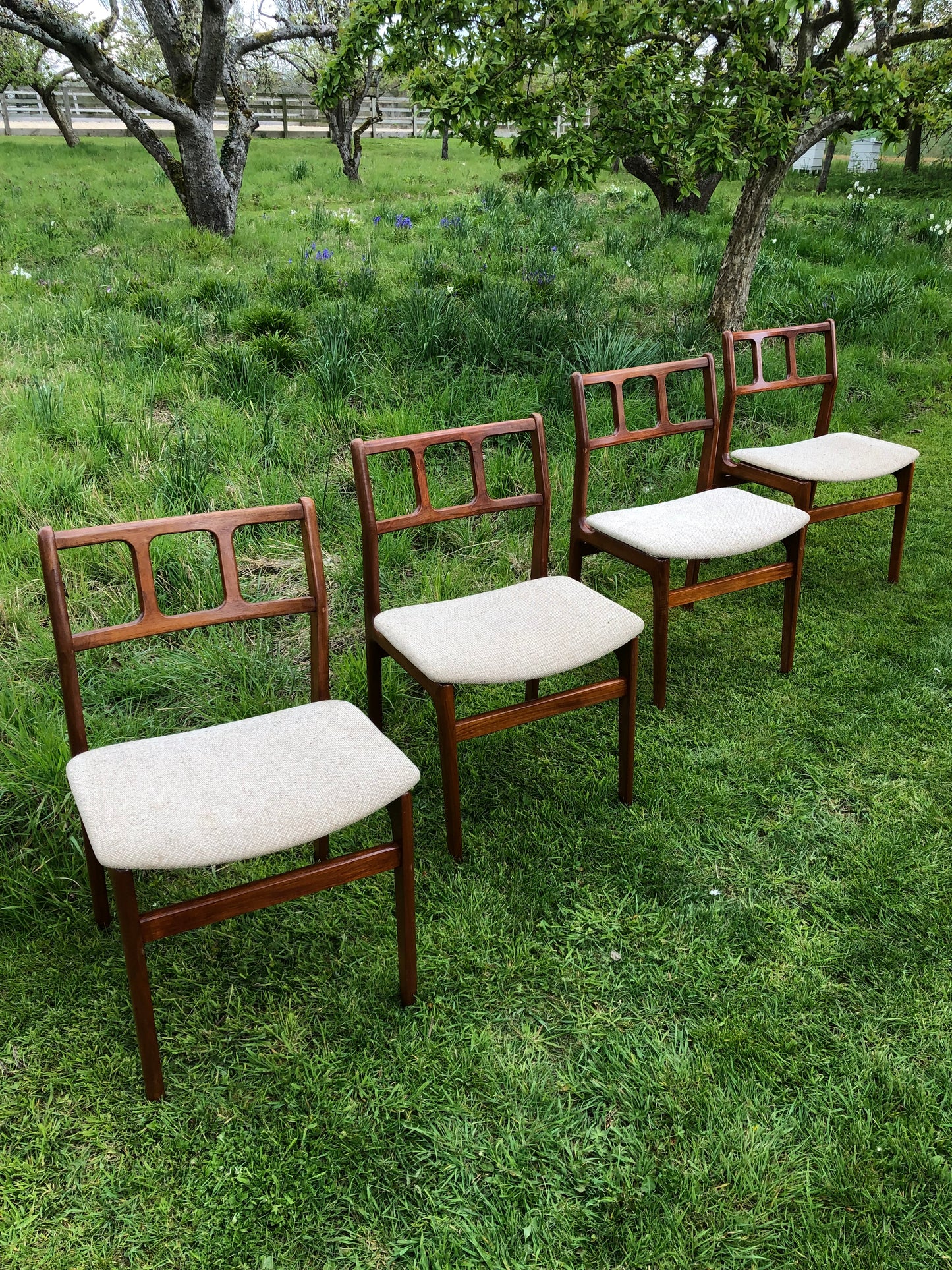 **For Sailor** Mid Century Modern solid teak chairs by D Scan