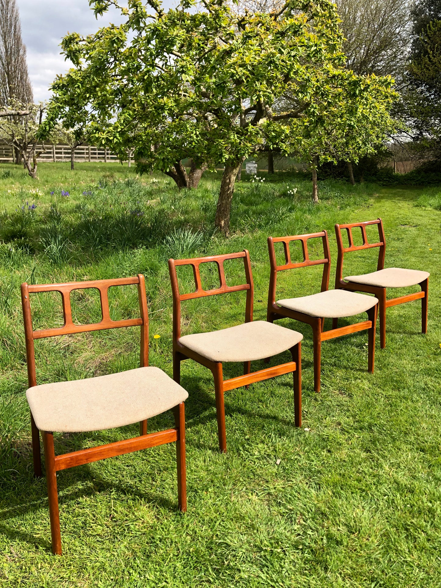 **For Sailor** Mid Century Modern solid teak chairs by D Scan