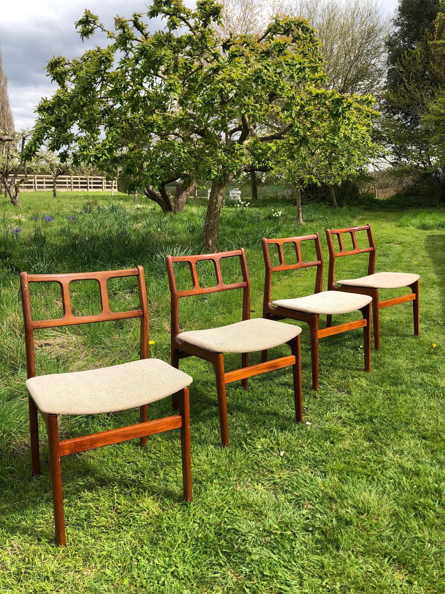 Mid Century Modern solid teak chairs by D Scan