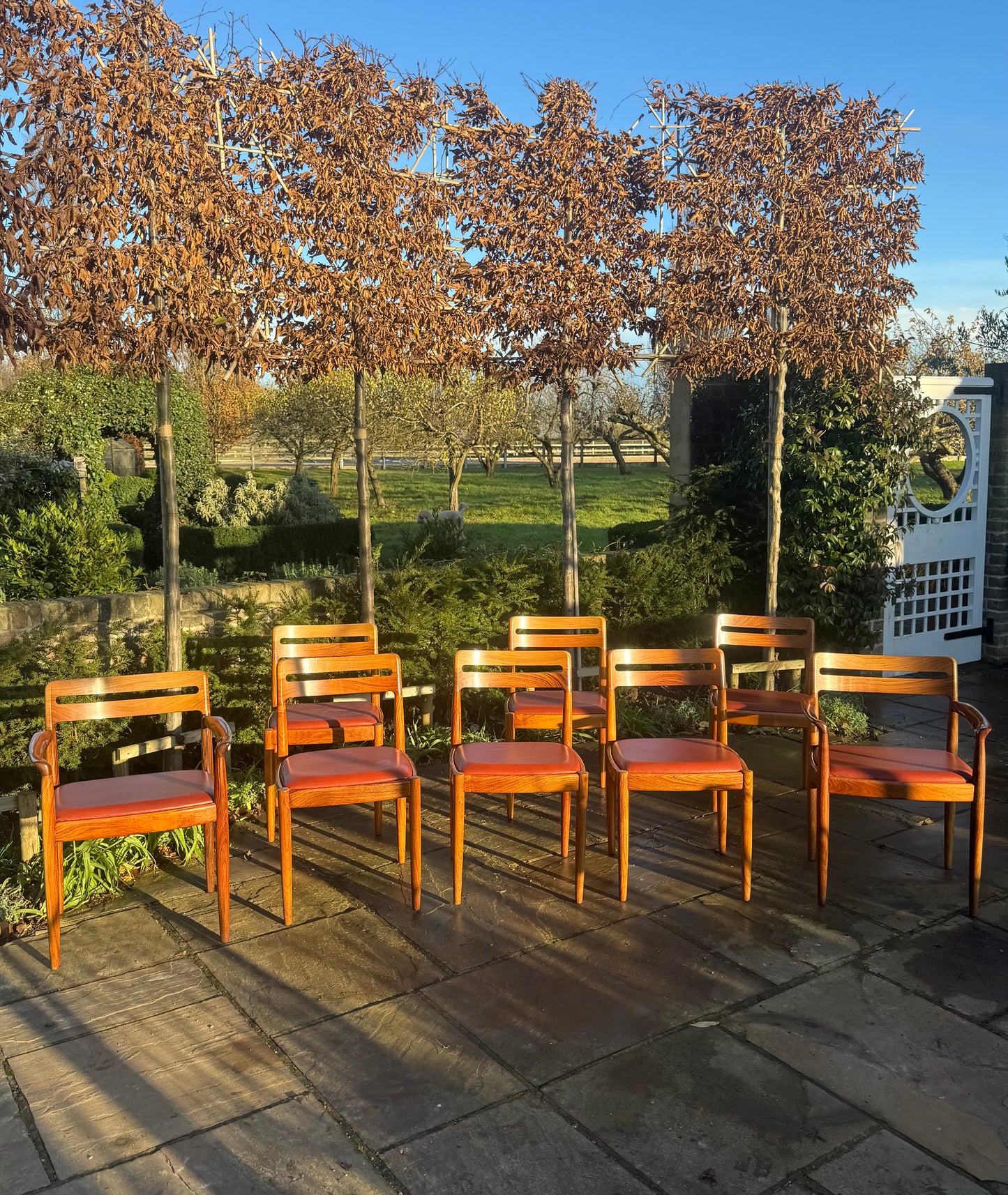 Eight  Rosewood Dining Chairs by H W Klein For Bramin Danish 1960