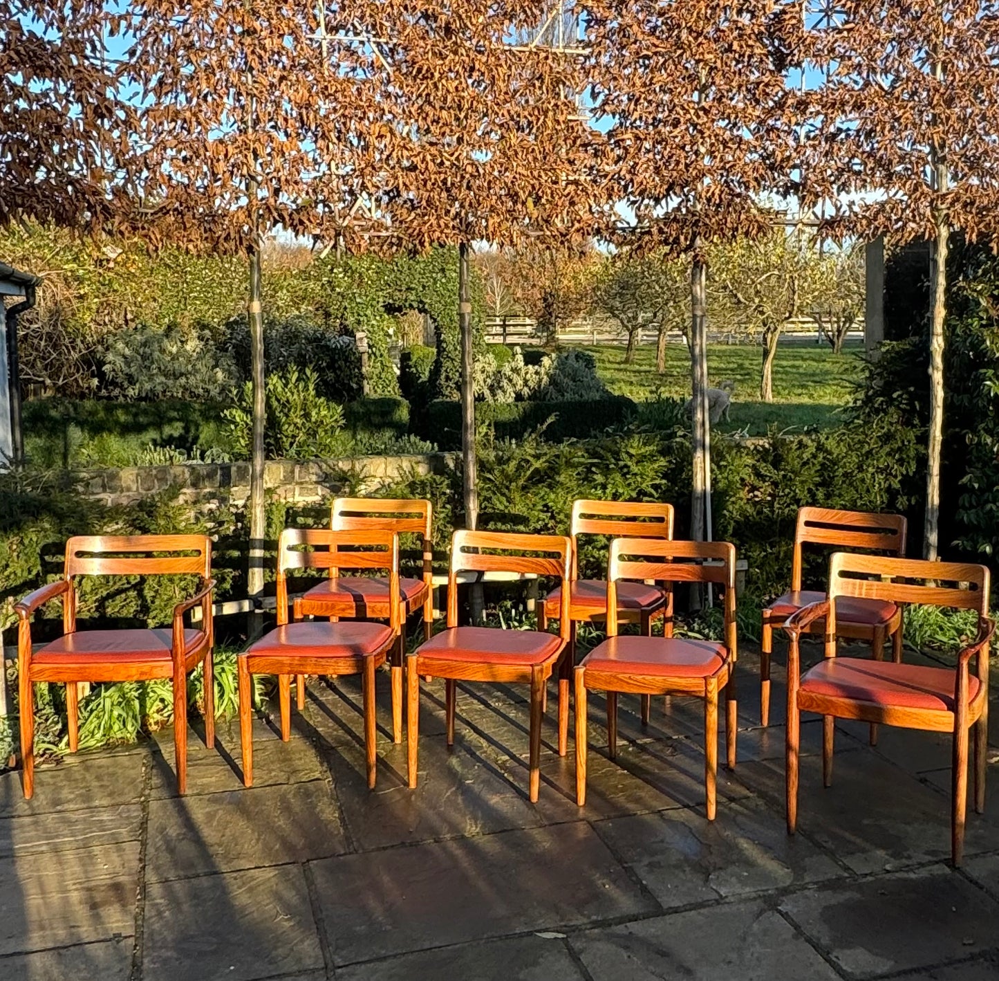 Eight  Rosewood Dining Chairs by H W Klein For Bramin Danish 1960