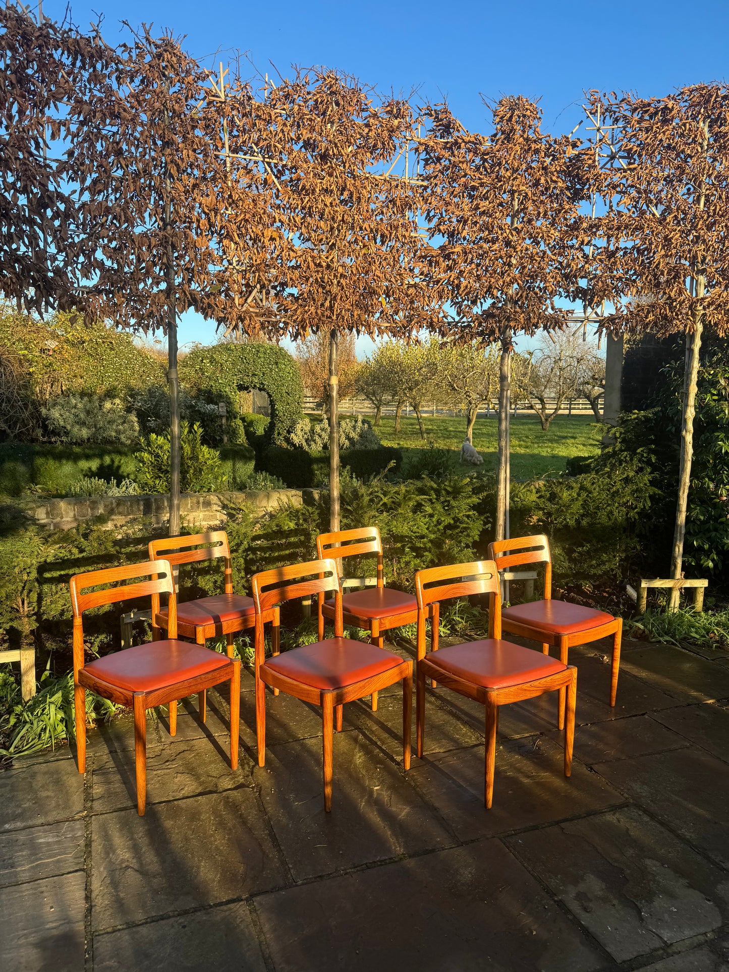 Eight  Rosewood Dining Chairs by H W Klein For Bramin Danish 1960