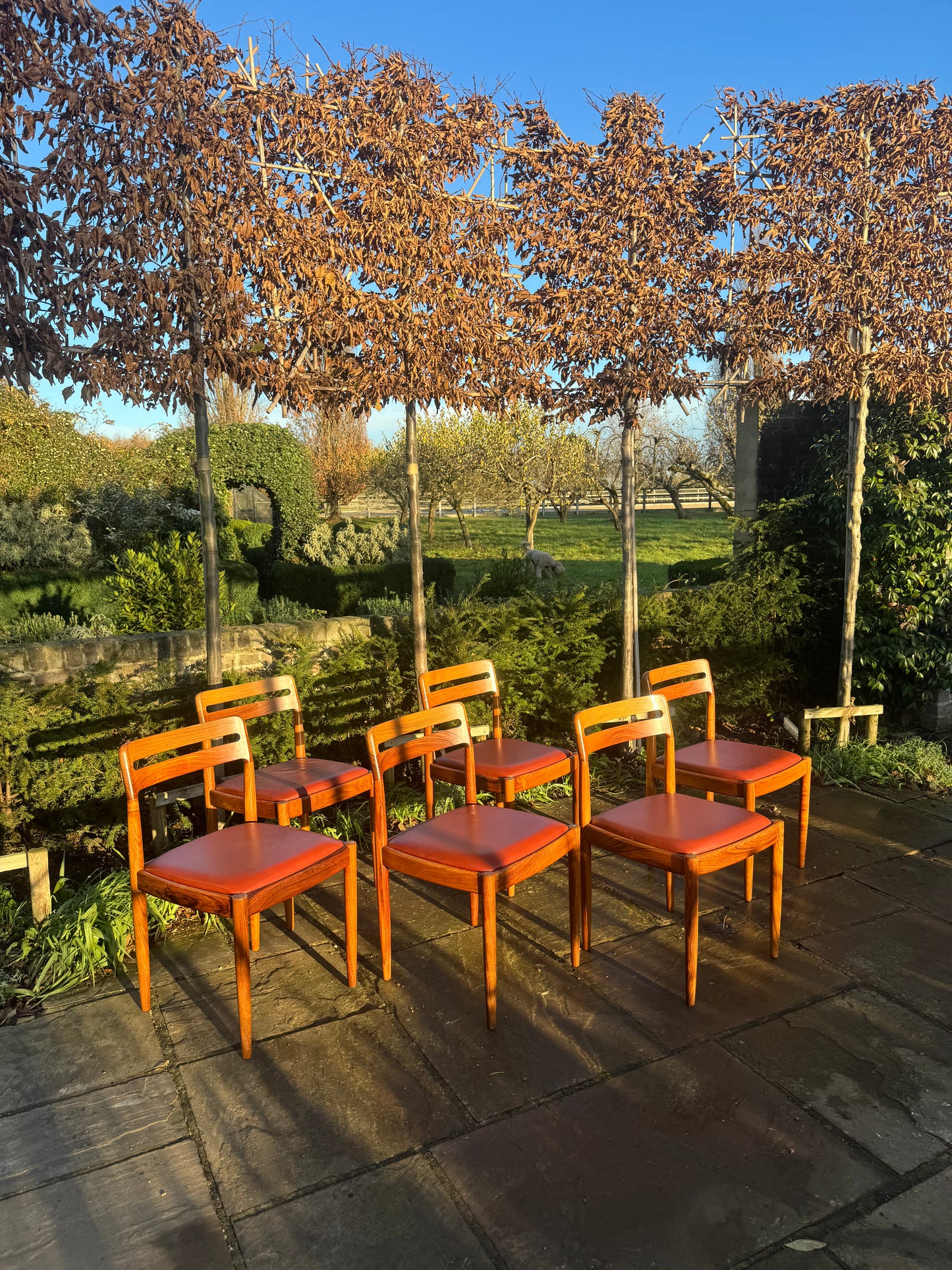 Eight  Rosewood Dining Chairs by H W Klein For Bramin Danish 1960