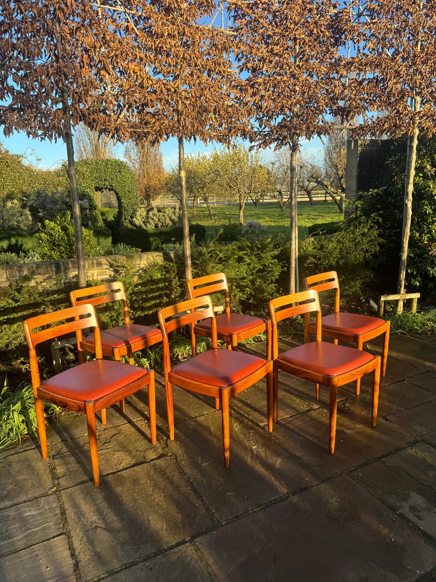 Eight  Rosewood Dining Chairs by H W Klein For Bramin Danish 1960