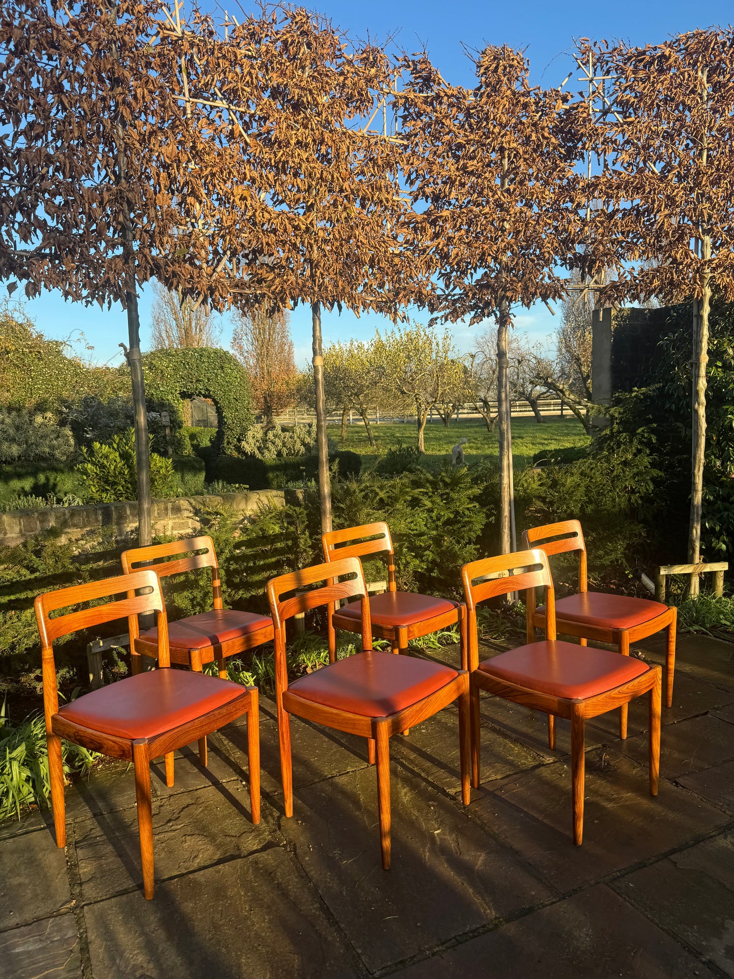 Eight  Rosewood Dining Chairs by H W Klein For Bramin Danish 1960