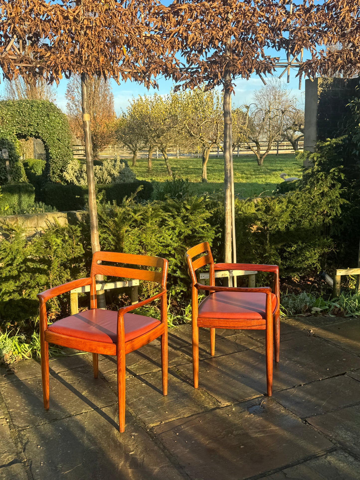 Eight  Rosewood Dining Chairs by H W Klein For Bramin Danish 1960