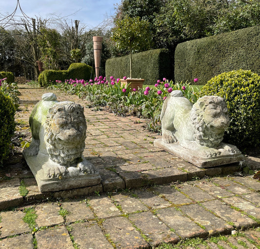 Reserved for Sharon ** Pair Of Fabulous Mid Century Modern Stone Garden Lions